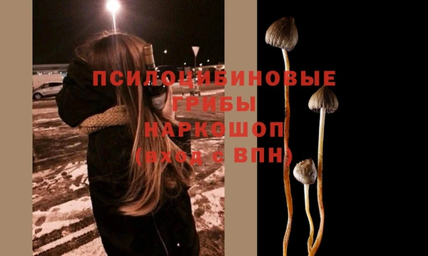 соль ск Алзамай