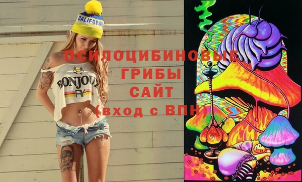 соль ск Алзамай
