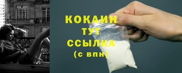 mdpv Новозыбков