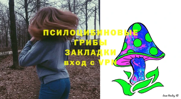 экстази Алексин