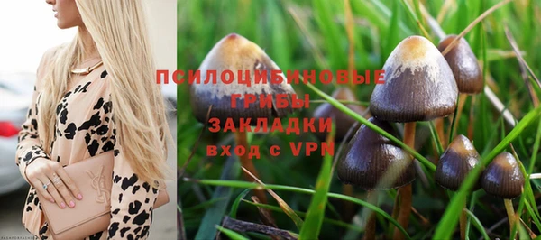 экстази Алексин