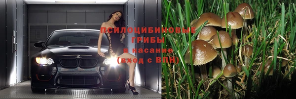 экстази Алексин
