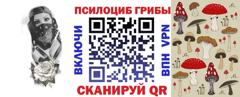 Псилоцибиновые грибы Cubensis  наркошоп  hydra маркетплейс  darknet формула  Плавск 